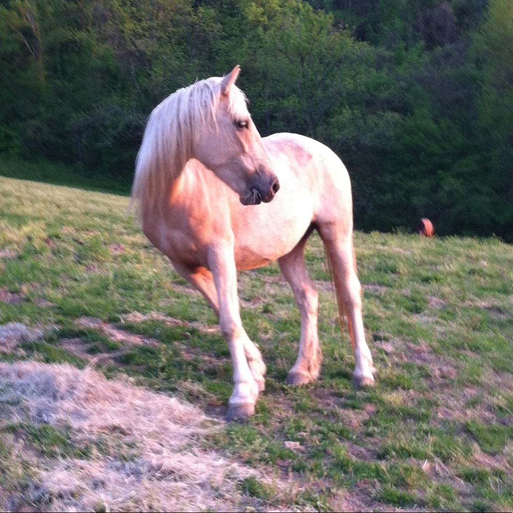 Meet your Posher, Kathleen